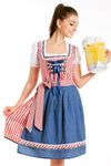 Premium Ladies Oktoberfest German Bavarian Beer Maid Vintage Costume